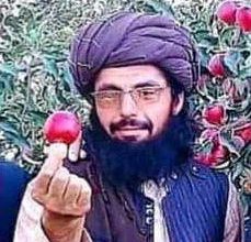 Photo of جان‌باختن ولسوال نام‌نهاد طالبان برای ولسوالی المار فاریاب