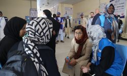 طالبان ممنوع کرد، سازمان ملل جایگزین آورد