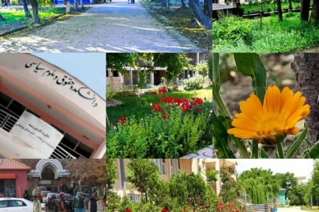 بال شکسته‌ای به نام دختر