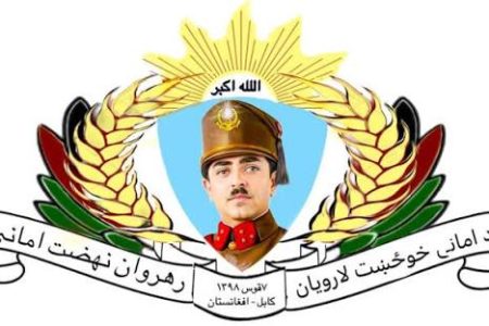 د امانی خوځښت لارویانو د پاکستان هوایی بریدونه وغندل