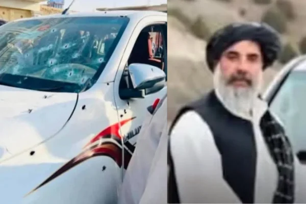 قتل متنفذ قومی در نیمروز؛ برادرزاده‌اش نیز جان باخت