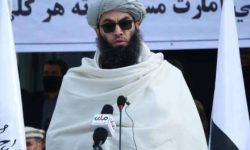 حنفی منتقدان طالبان را «وطنفروش» خواند