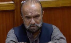 ظاهر قدیر؛ واکنش دوگانه کاربران به استرداد امریکا