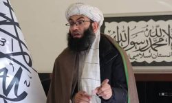 بازداشت زنان؛ حنفی: گزارش‌ها تبلیغات استخباراتی است