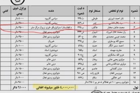 نایب‌زاده: طالبان شبکه نفوذ رسانه‌ای در اروپا ایجاد کرده‌اند