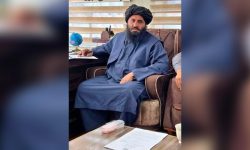 «جبهه مقاومت ملی»: شهردار طالبان در فیض‌آباد کشته شد