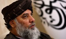 «لوکوموتیوران اقتصادِ سیاسی رژیم آپارتاید و ترور»