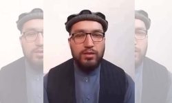 بازداشت استاد نویدالله فطرت در هرات؛ فعالان خواستار آزادی فوری
