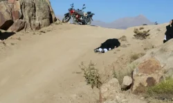 قتل یک زن در مسیر محکمه؛ برادر مقتول خواستار رسیدگی شد
