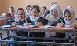 آیا «عقل مردم به چشم‌شان است»؟