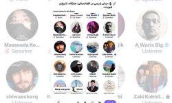 زبان پارسی در افغانستان؛ جایگاه، تاریخ و هویت