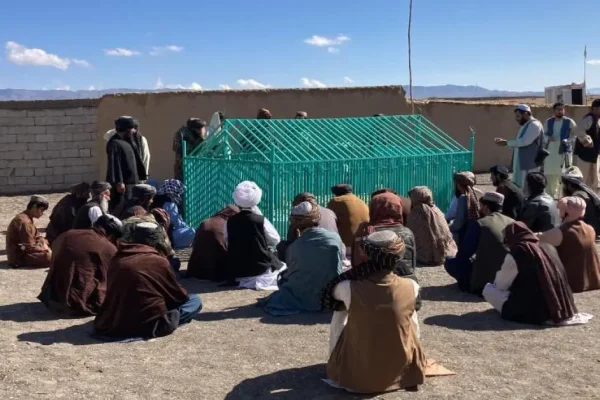 کشته‌شدن محافظ قبر ملا عمر