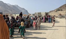بازداشت پزشکان افغانستانی و ترس در خیبرپختونخوا